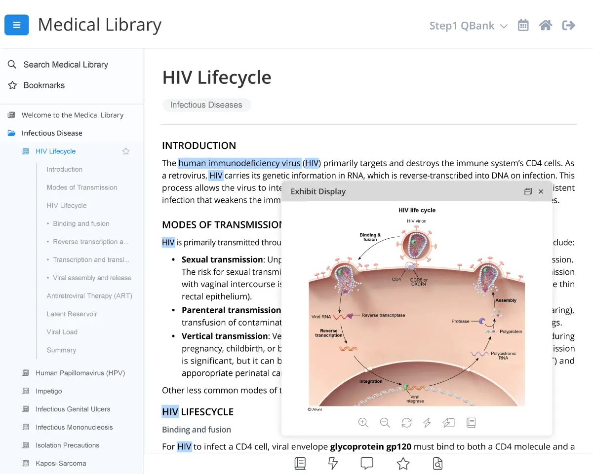 HIV Lifecycle explanation for the UWorld Medical Library